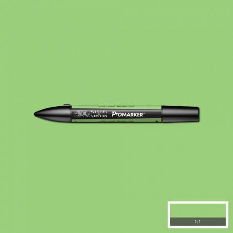 Promarker Winsor&Newton G338 Apple